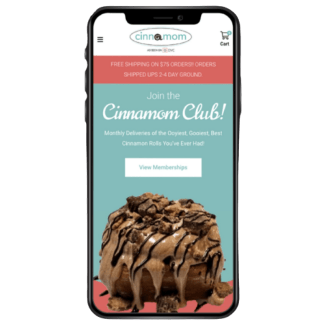 janszen-media-eCommerce-case-study-cinnamom-8
