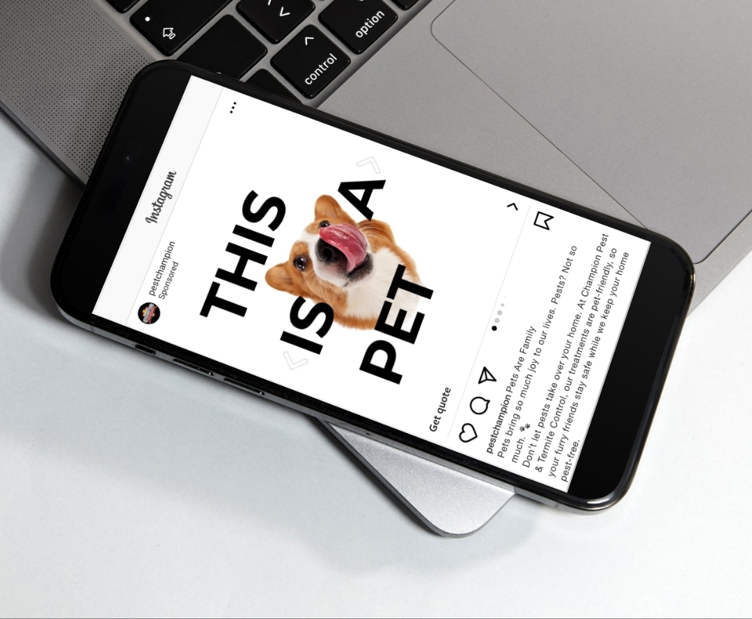 Meta ads Campaign