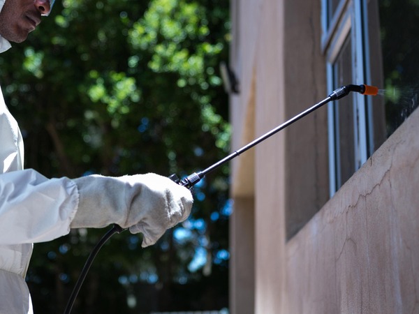 Pest Control